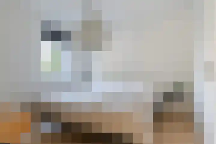 Het Zool 41 Leeuwarden thumbnail 4