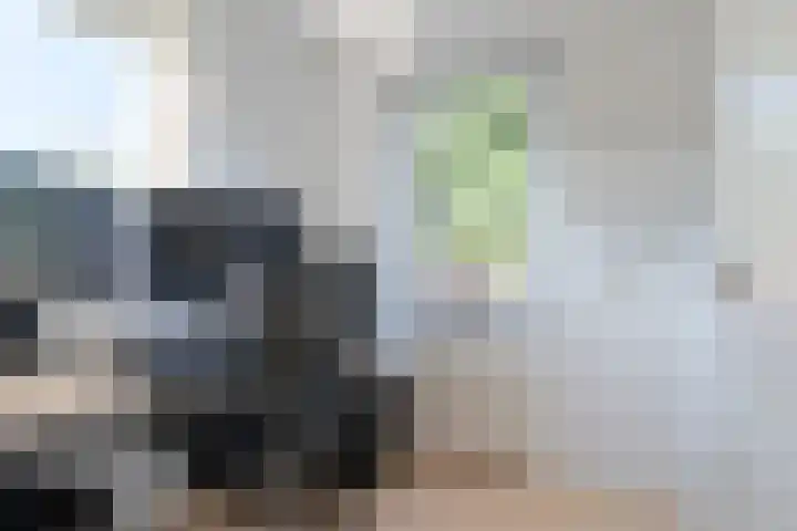 Het Zool 41 Leeuwarden thumbnail 44