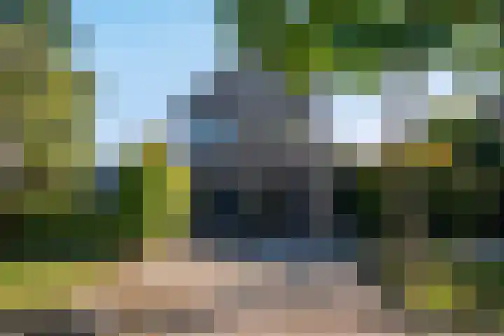 Het Zool 41 Leeuwarden thumbnail 8