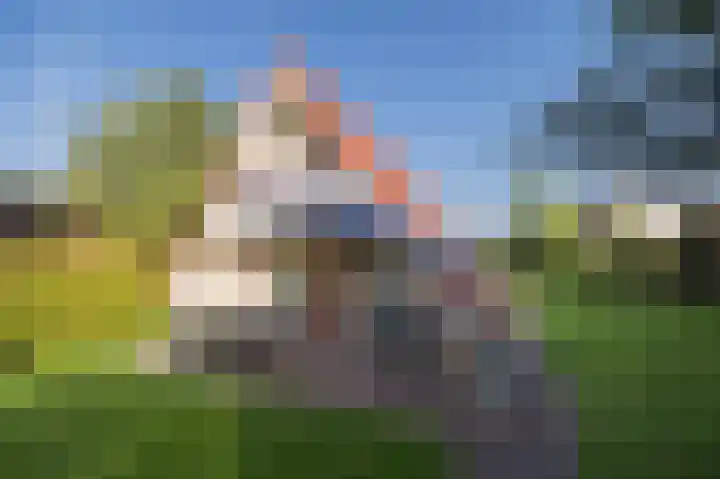 Het Zwiggelterveld 110 in Zwiggelte