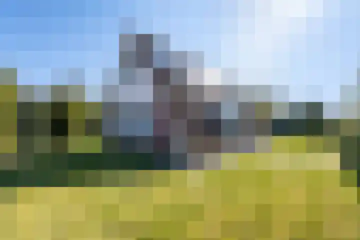 Het Zwiggelterveld 114 in Zwiggelte