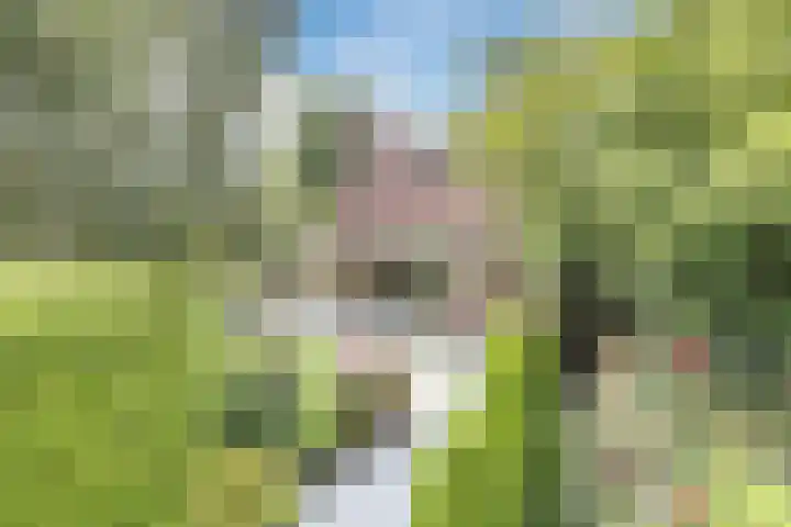 Het Zwiggelterveld 136 in Zwiggelte