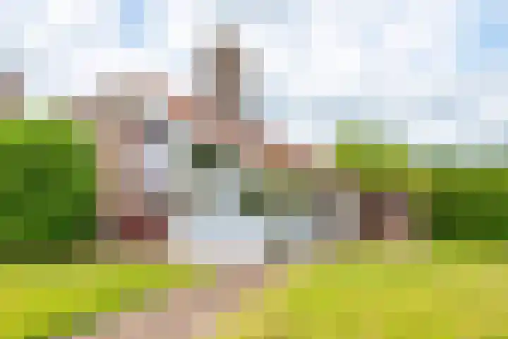 Het Zwiggelterveld 144 dans Zwiggelte