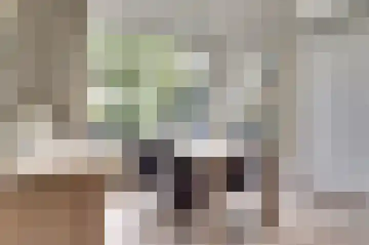 Heufke 23 Druten thumbnail 14