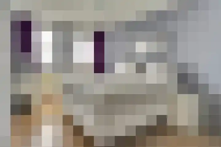 Heufke 23 Druten thumbnail 17