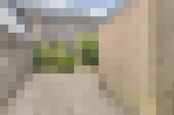 Heufke 23 Druten thumbnail 33
