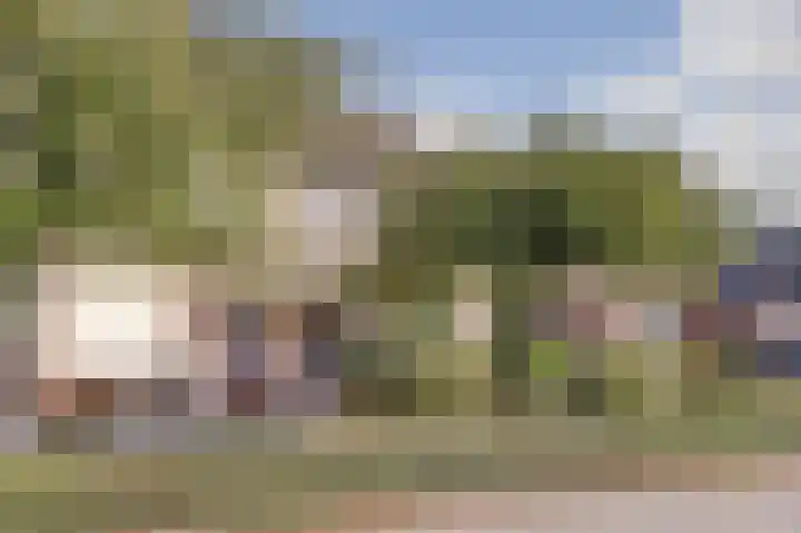 Heufke 23 Druten thumbnail 49