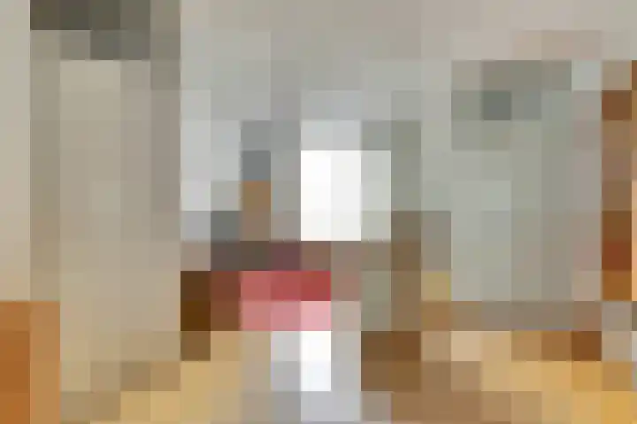 Heufke 23 Druten thumbnail 6