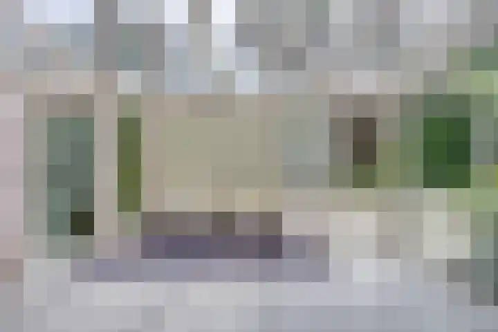 Heufke 40 Druten thumbnail 11