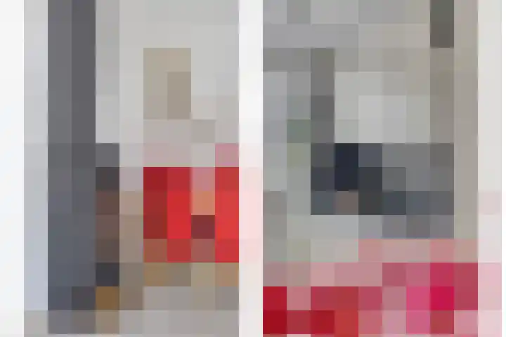 Heufke 40 Druten thumbnail 13