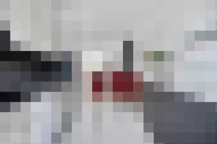 Heufke 40 Druten thumbnail 16