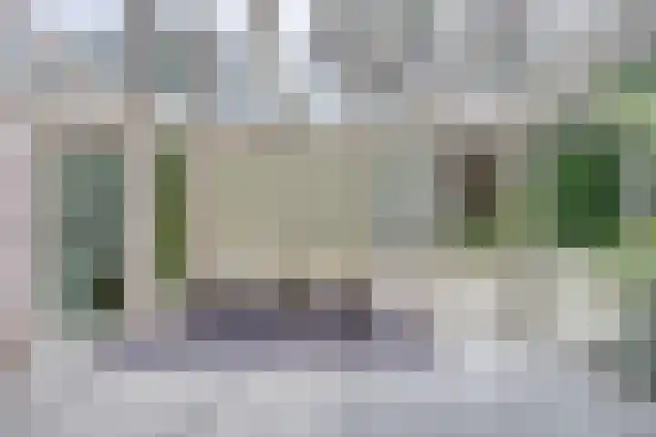 Heufke 40 Druten foto 2
