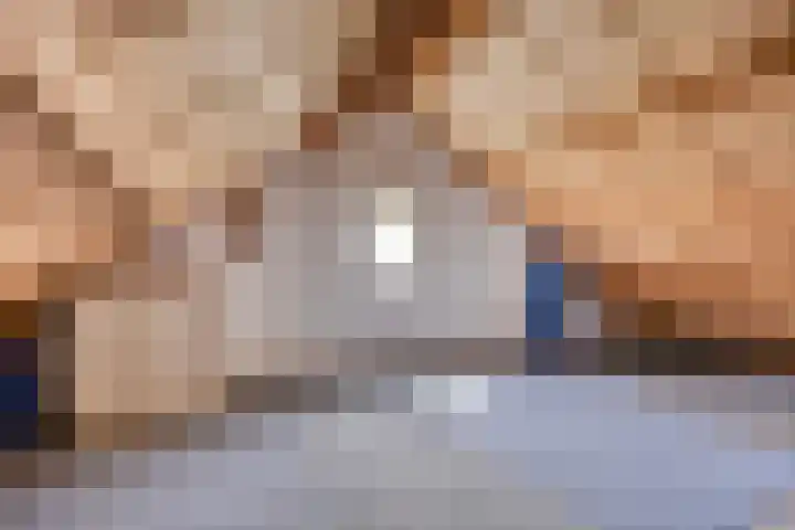 Heufke 40 Druten thumbnail 23