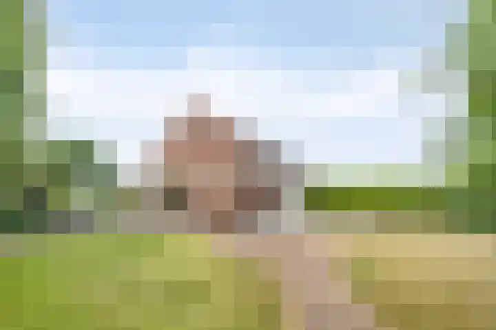 Heufke 40 Druten thumbnail 24