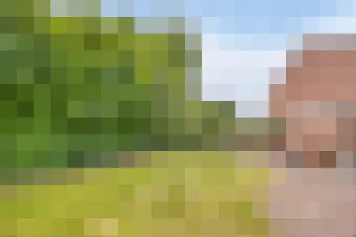 Heufke 40 Druten thumbnail 25