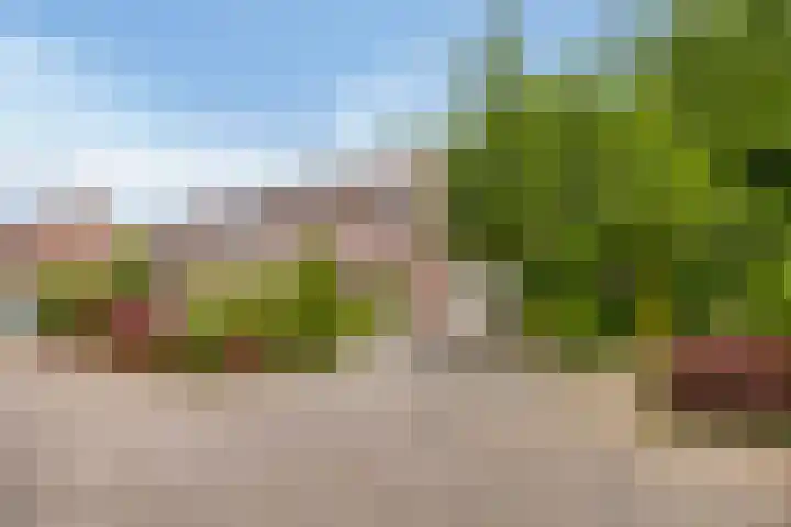 Heufke 40 Druten thumbnail 27