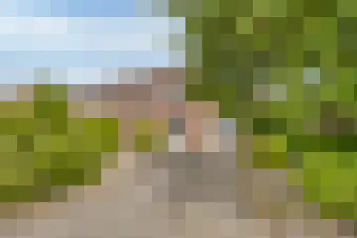 Heufke 40 Druten thumbnail 5