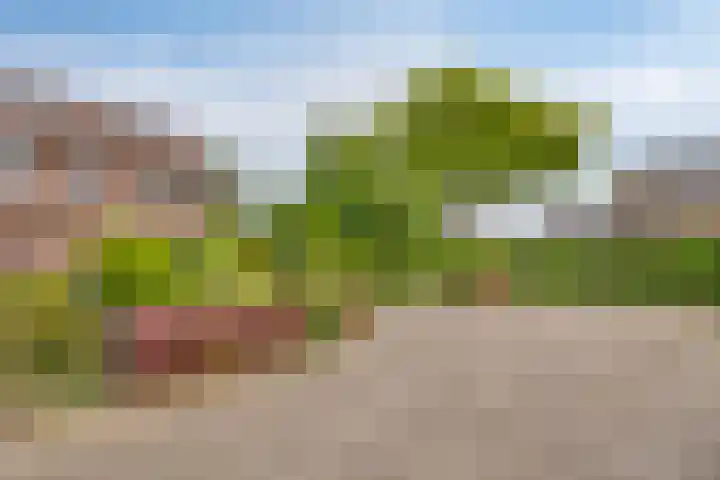 Heufke 40 Druten thumbnail 6