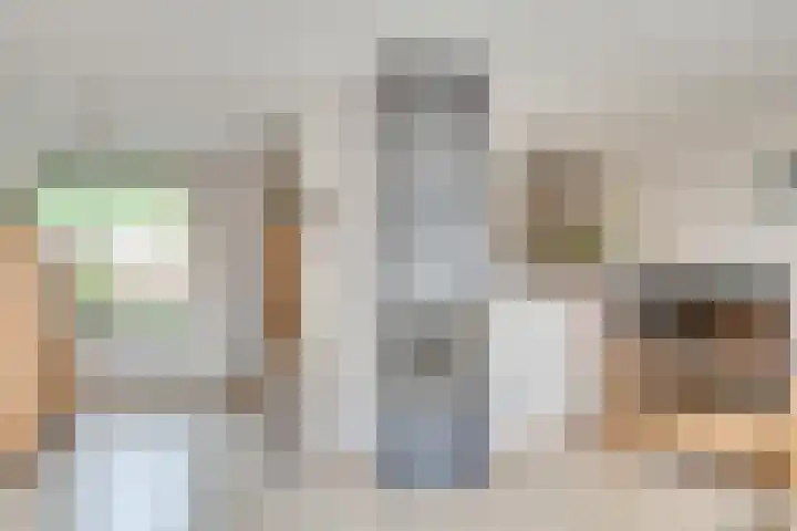 Heufkens 307 Uden thumbnail 11