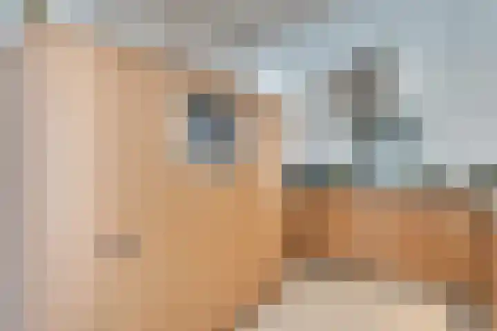 Heufkens 307 Uden thumbnail 12