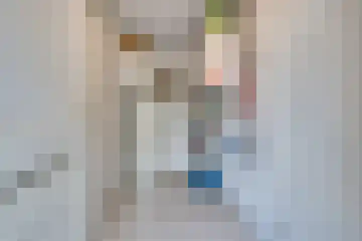 Heufkens 307 Uden thumbnail 13