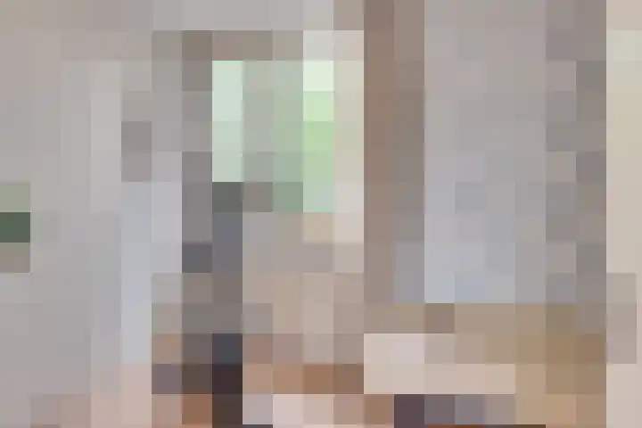 Heufkens 307 Uden thumbnail 16