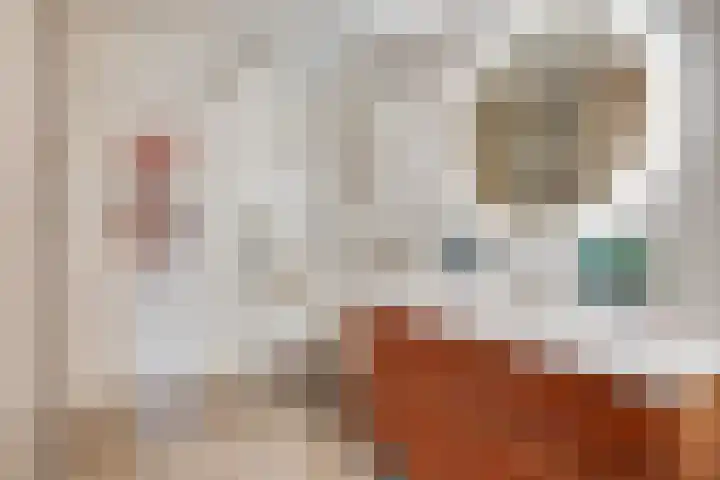 Heufkens 307 Uden thumbnail 18
