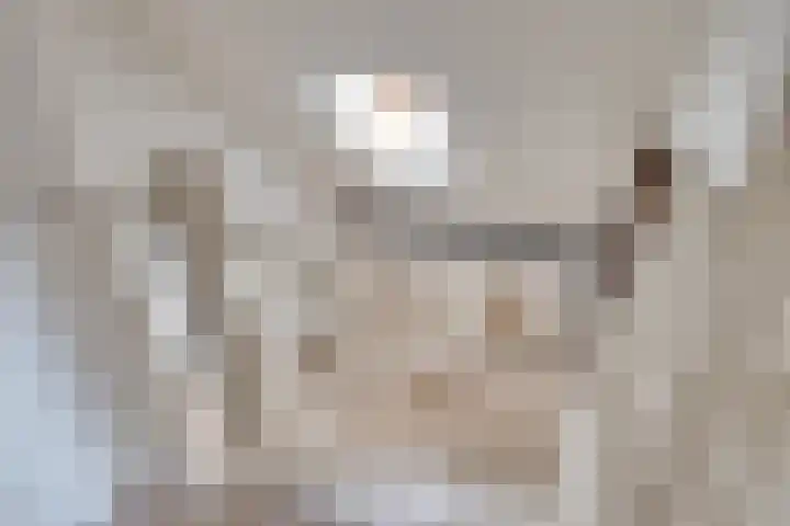 Heufkens 307 Uden thumbnail 20