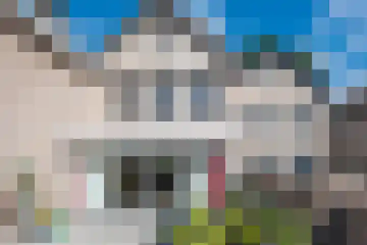 Heufkens 307 Uden thumbnail 23
