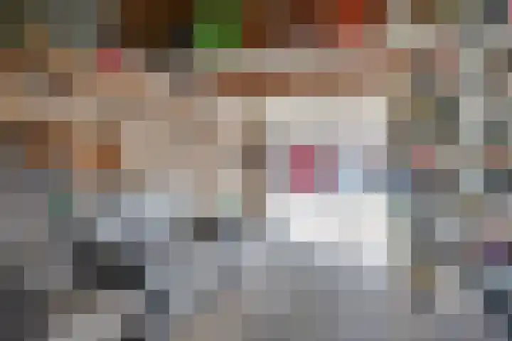 Heufkens 307 Uden thumbnail 28