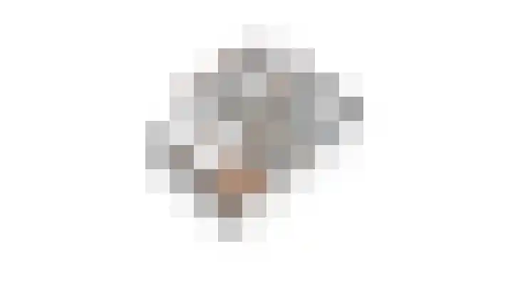 Heufkens 307 Uden thumbnail 34