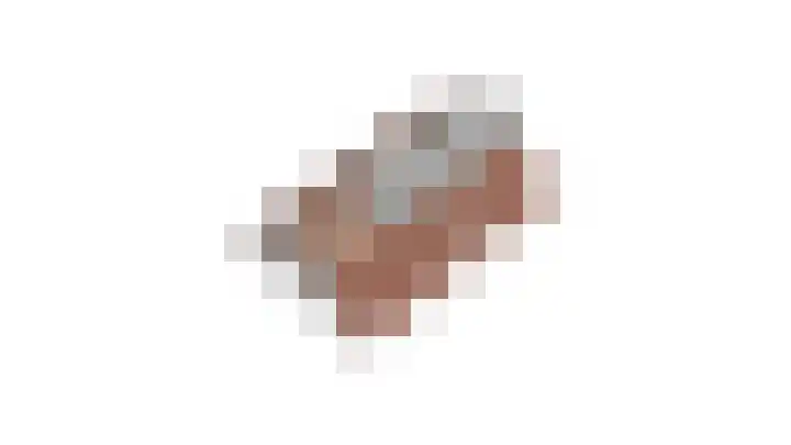 Heufkens 307 Uden thumbnail 37