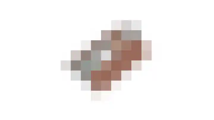 Heufkens 307 Uden thumbnail 38