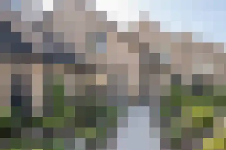 Heufkens 307 Uden thumbnail 4