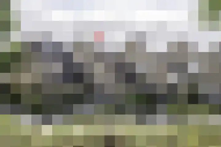 Heufkens 307 Uden thumbnail 41