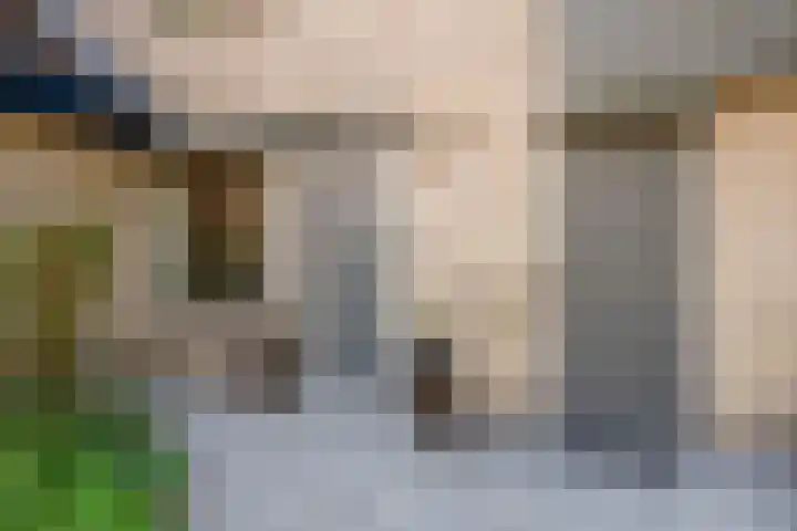 Heufkens 307 Uden thumbnail 5