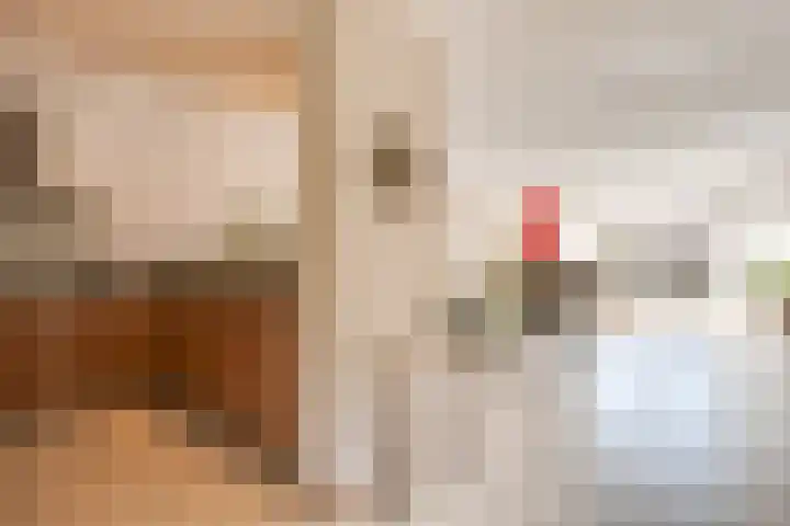 Heufkens 307 Uden thumbnail 6