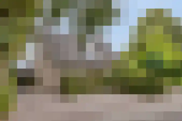 Heufkensweg 5 A dans Uden