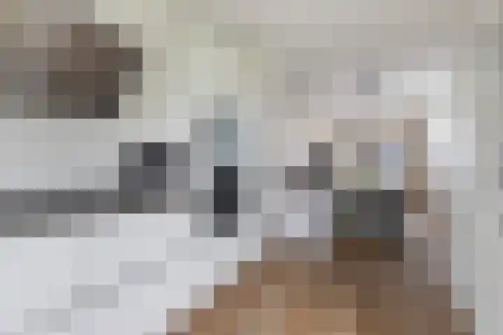 Heukelsstraat 19 Zwolle thumbnail 15