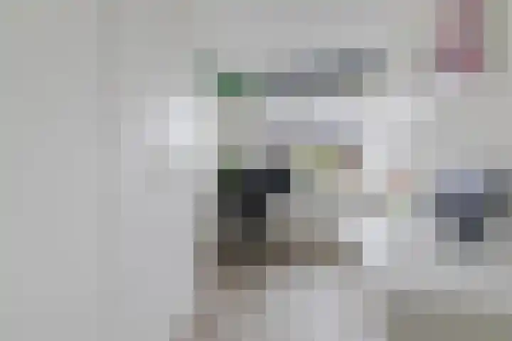 Heukelsstraat 19 Zwolle thumbnail 26