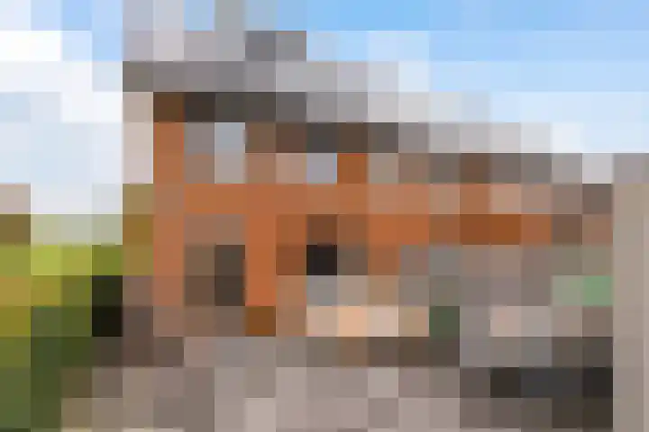 Heukelsstraat 19 Zwolle thumbnail 42