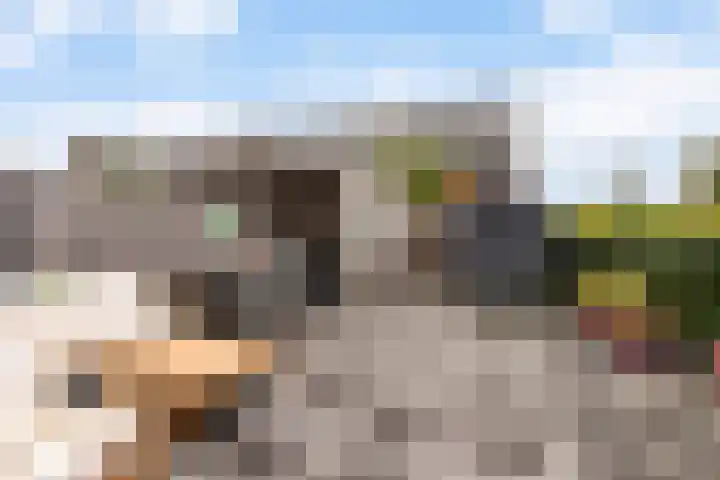 Heukelsstraat 19 Zwolle thumbnail 43