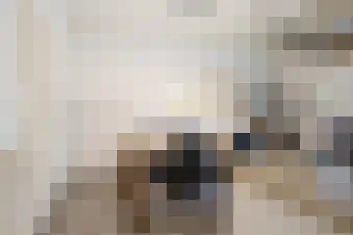Heul 13 Hoeven thumbnail 13