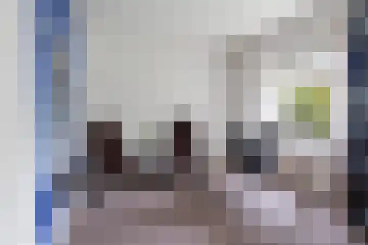 Heul 13 Hoeven thumbnail 17