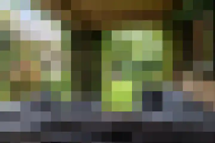 Heul 13 Hoeven thumbnail 31