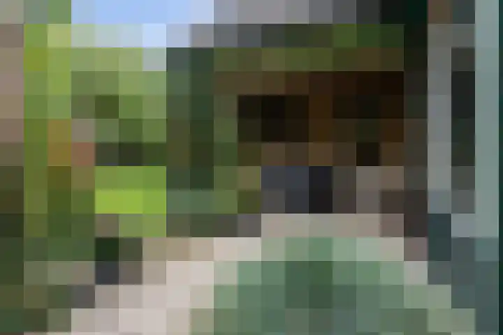 Heul 13 Hoeven thumbnail 32