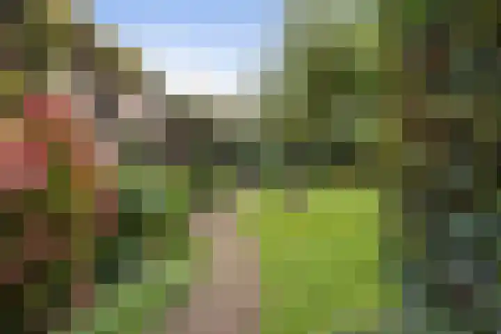 Heul 13 Hoeven thumbnail 34