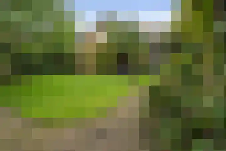 Heul 13 Hoeven thumbnail 35
