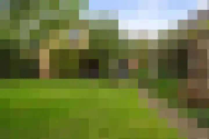 Heul 13 Hoeven thumbnail 36