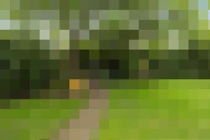 Heul 13 Hoeven thumbnail 37